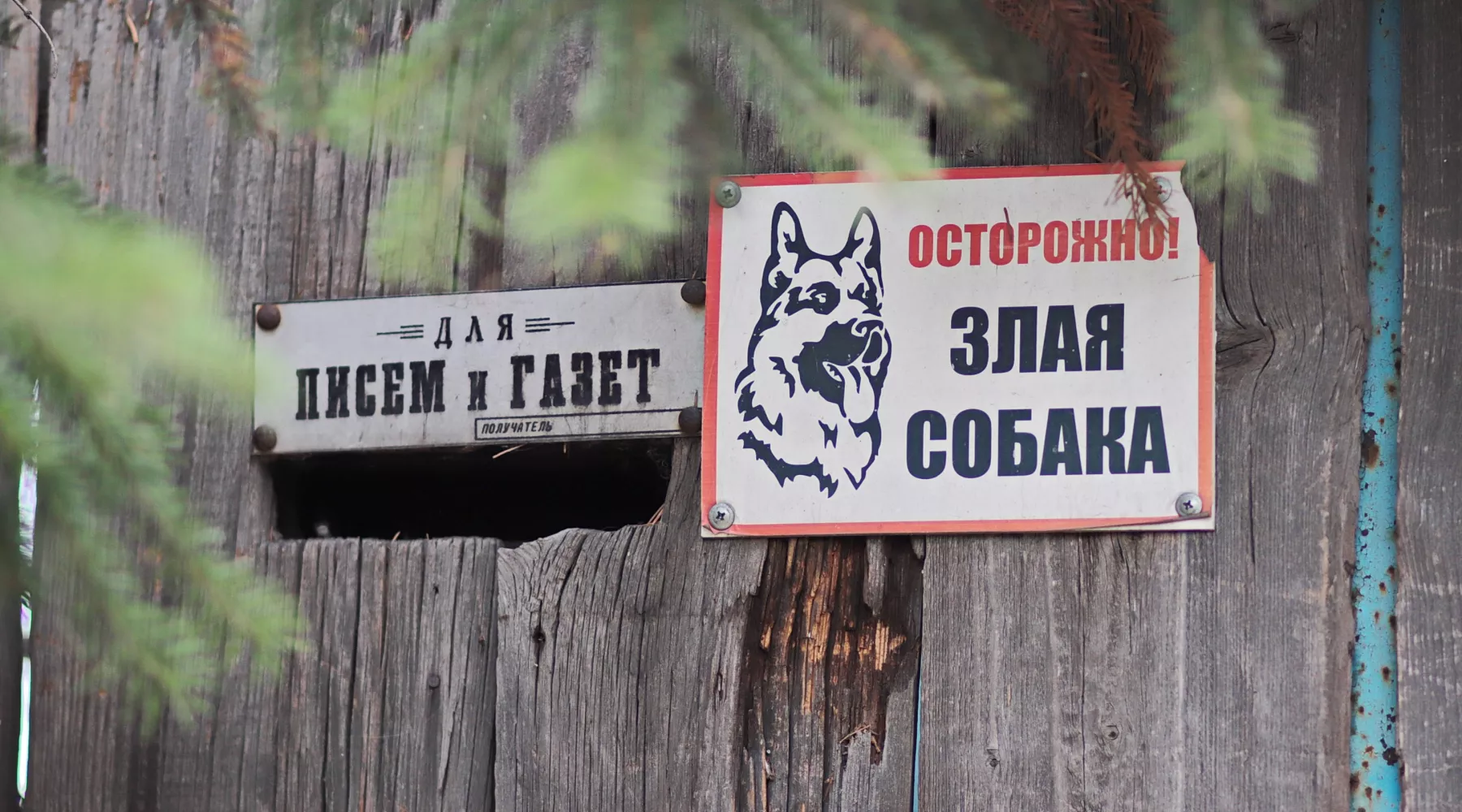 Табличка &quot;Злая собака&quot;