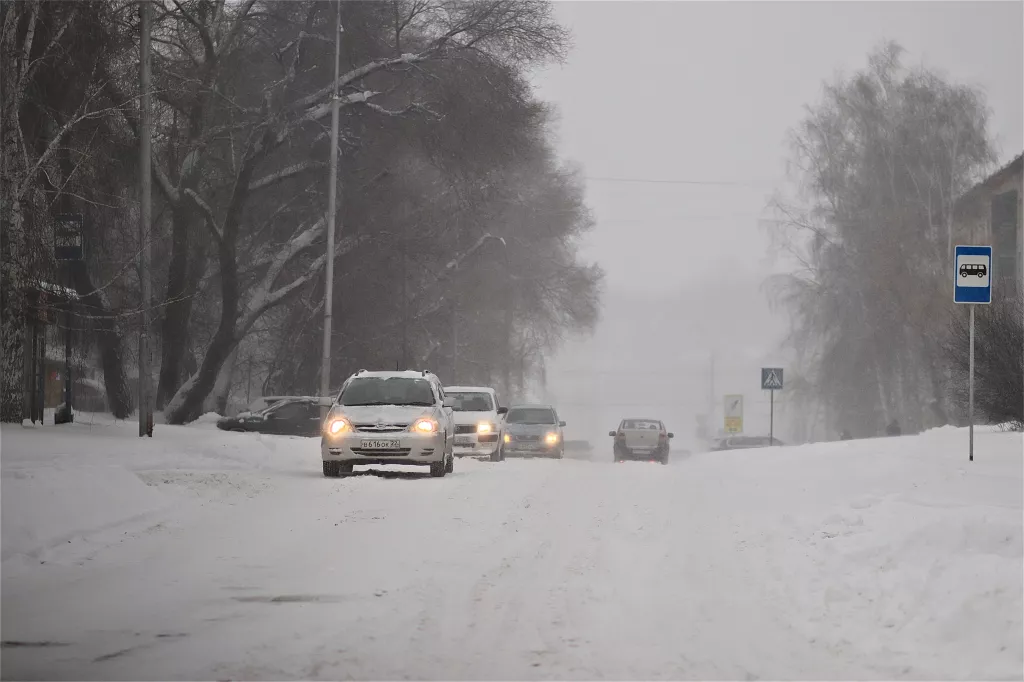 Мокрый снег, метели и сильный ветер снова накроют Алтайский край - Информационный портал "Бийский рабочий", 09.11.2025