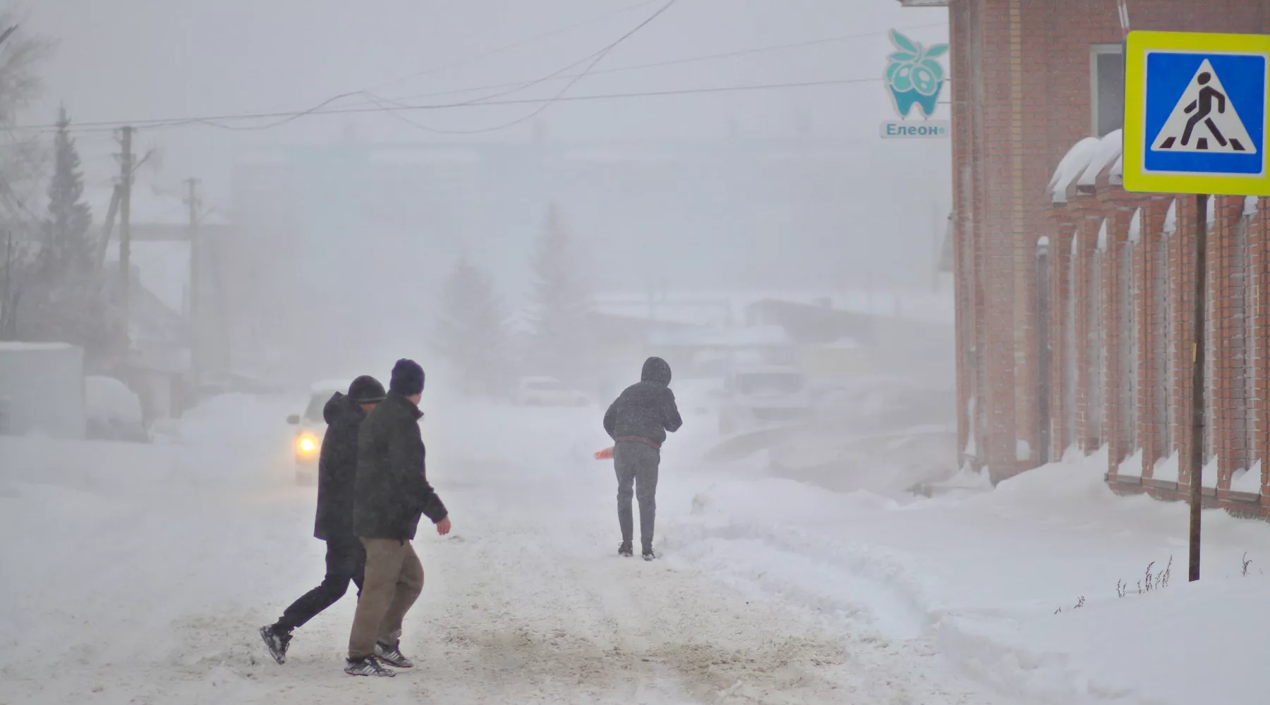 Метель. Люди. Пешеходный переход.