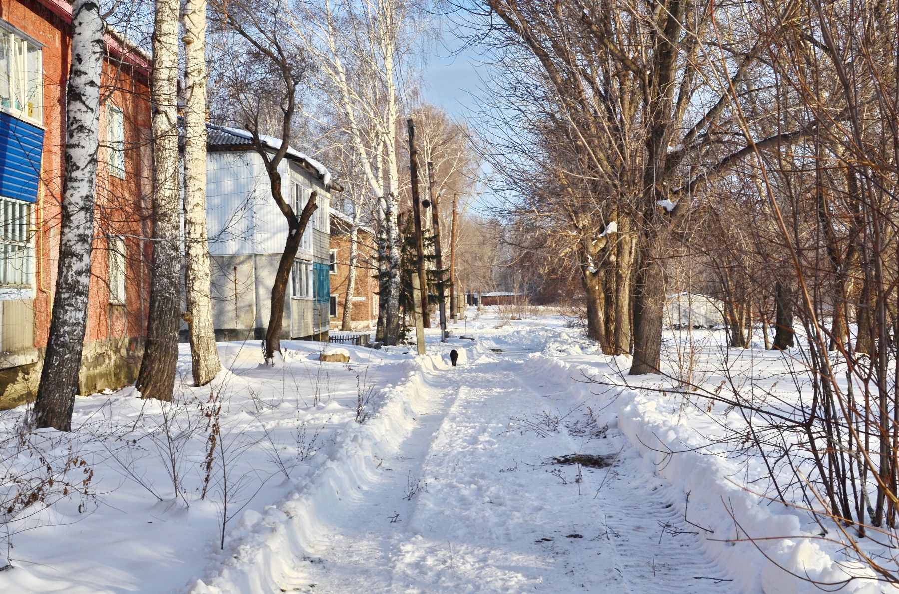 Поселок Новый. Проблемы с канализацией.