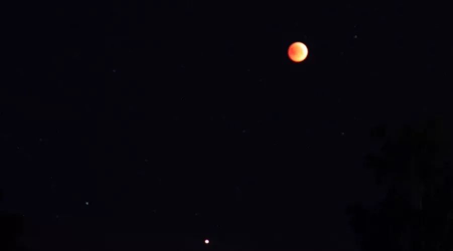 Бийчане поделились в соцсетях снимками кровавой Луны и Марса