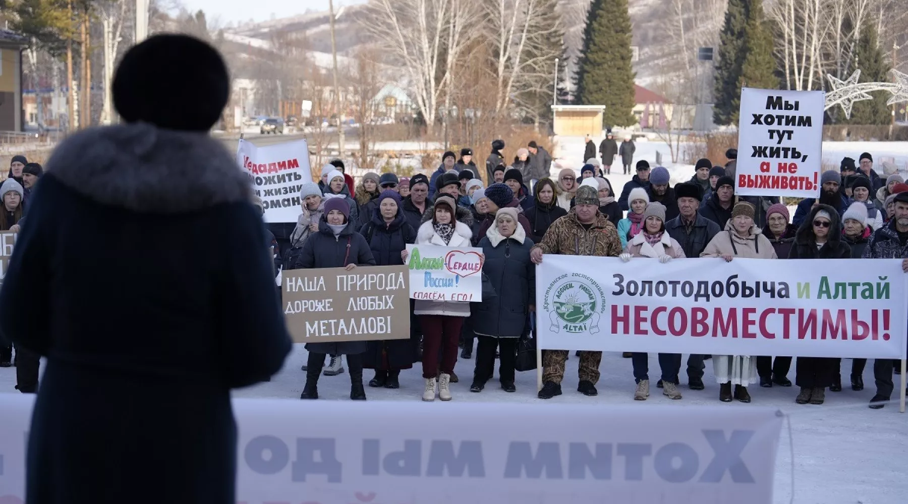 Митинг против золотодобычи в Солонешном