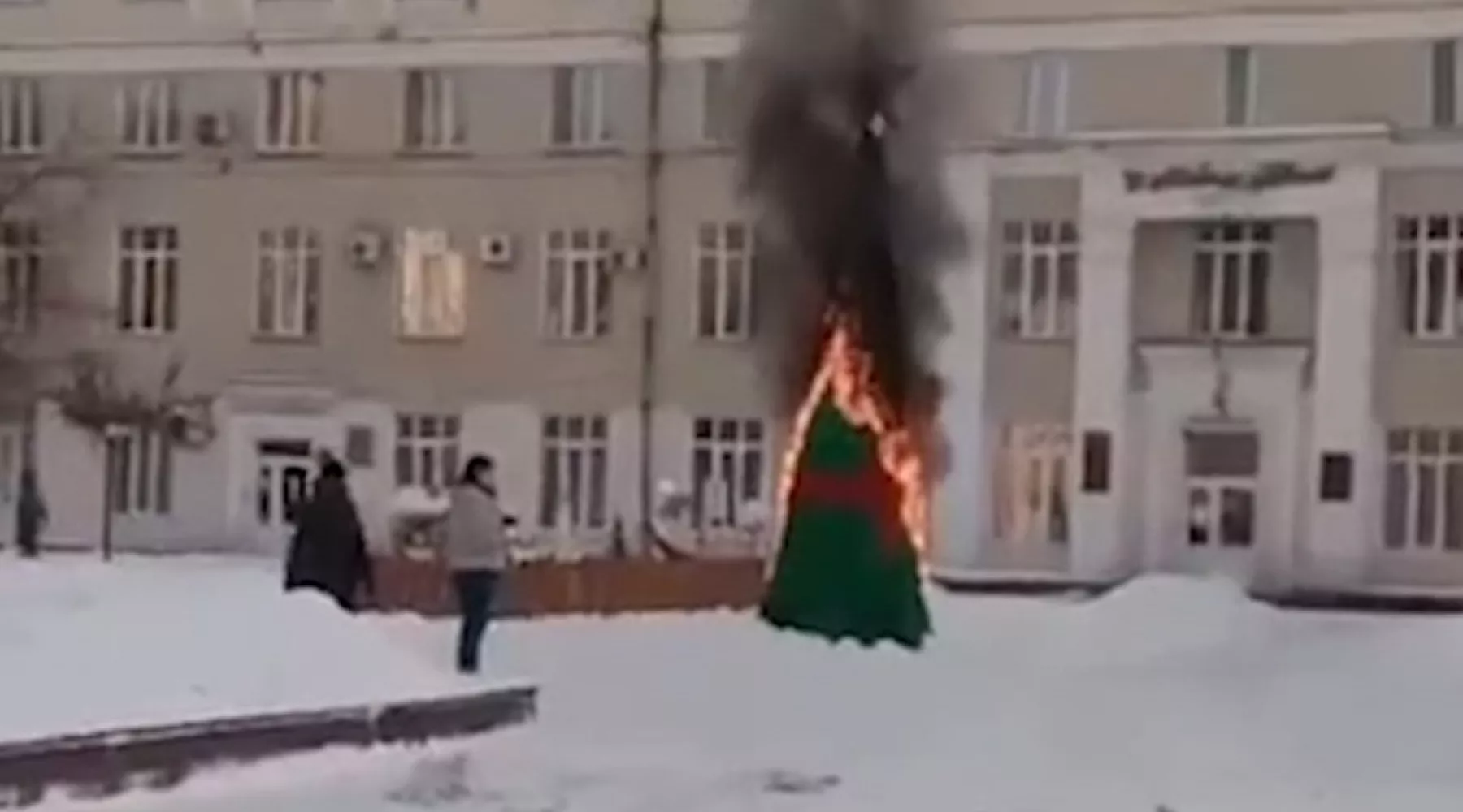 В Алтайском крае школьник поджег городскую елку возле здания администрации