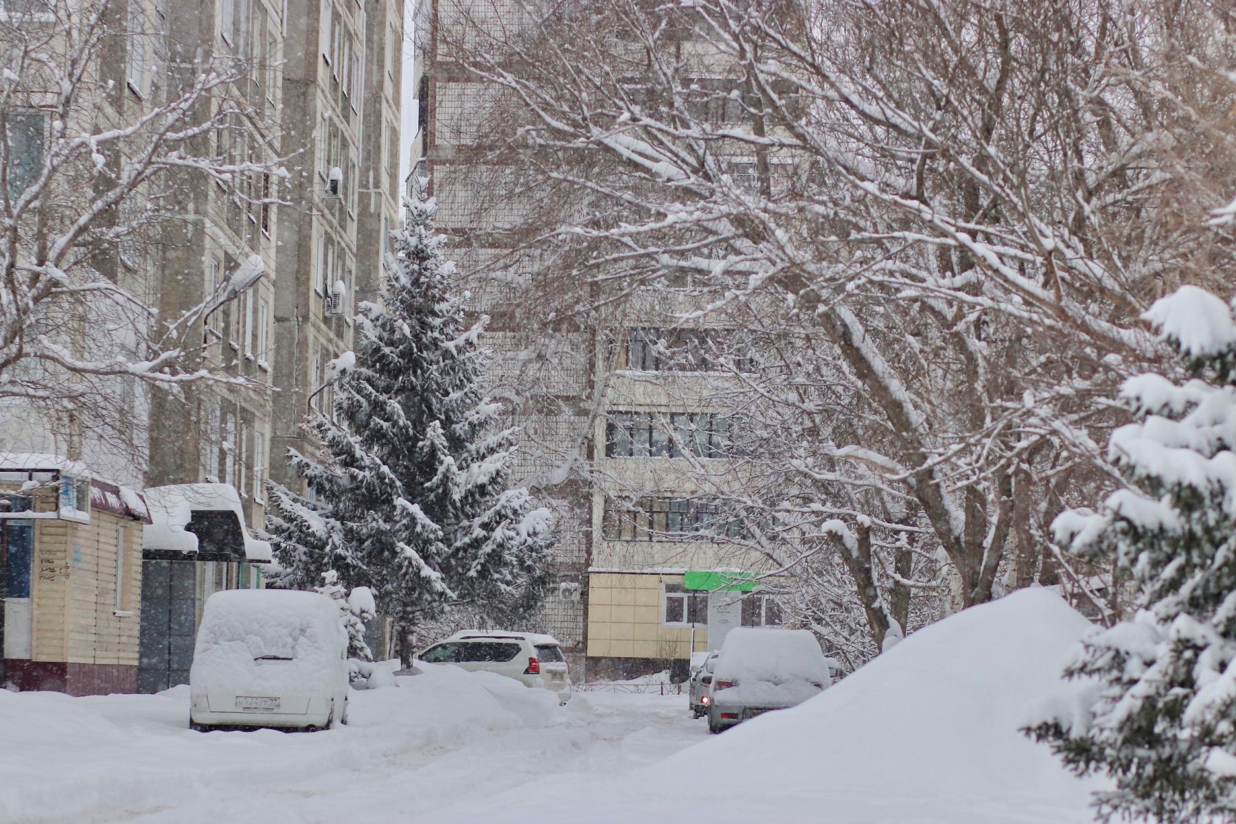 Снегопад. Город