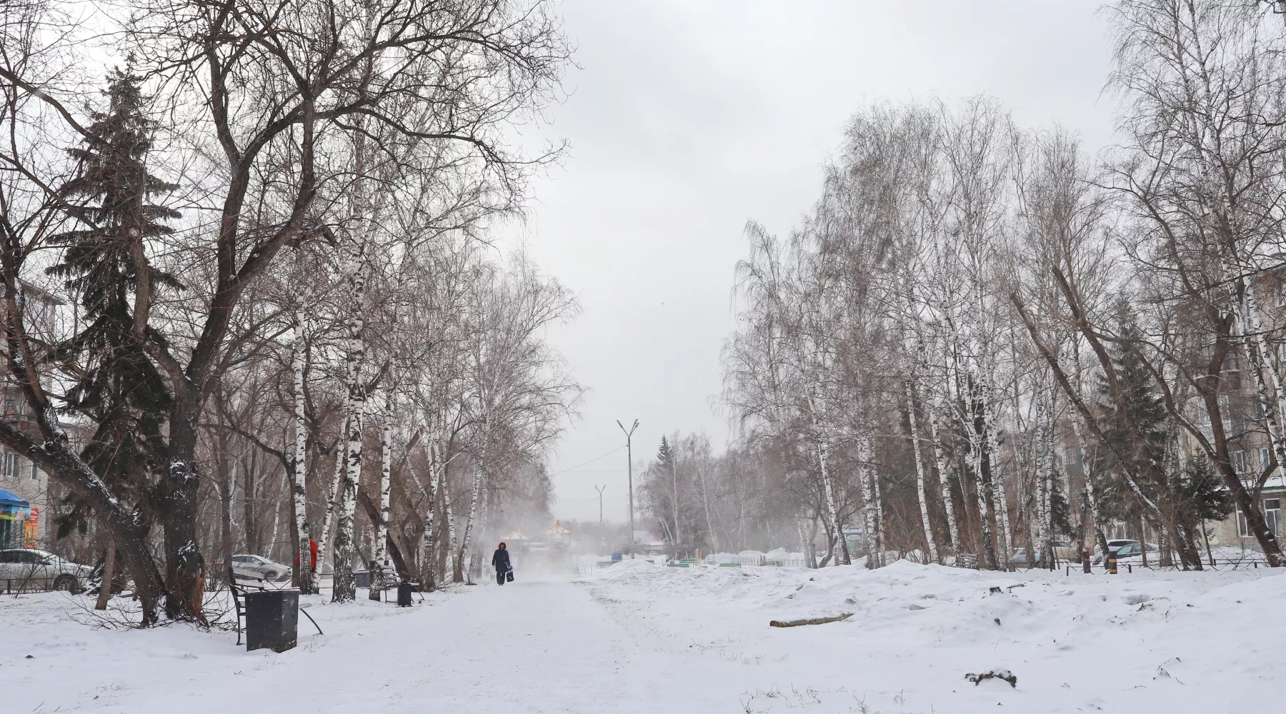 Бульвар 50 лет ВЛКСМ, март 2025 г.